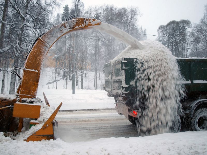 Tree Removal Equipment in Winter