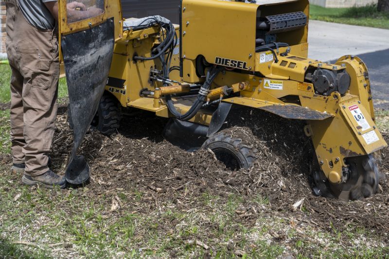 Tree Stump Removal Equipment