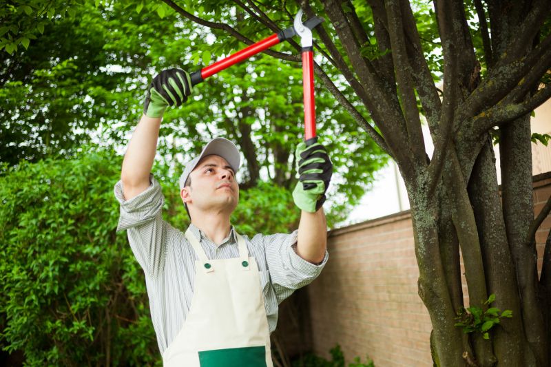 Pruning for Tree Health